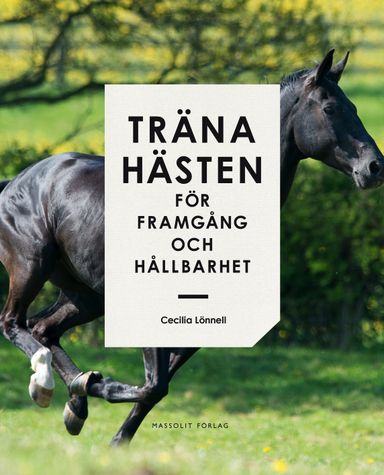 Träna hästen för framgång och hållbarhet