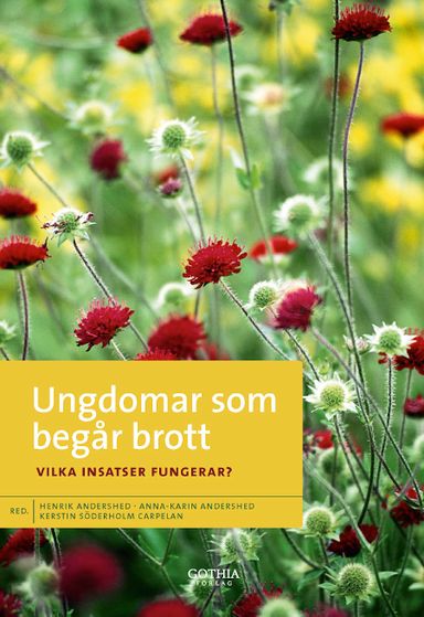 Ungdomar som begår brott : vilka insatser fungerar?