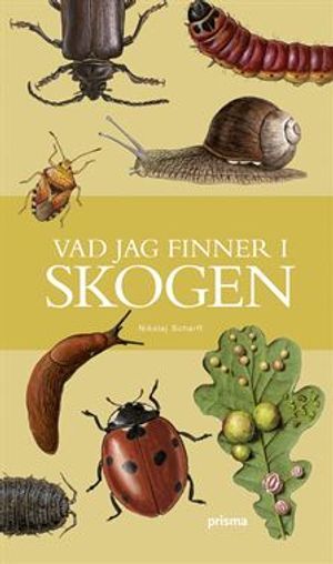 Vad jag finner i skogen