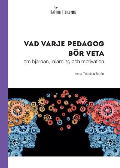 Vad varje pedagog bör veta - om hjärnan, inlärning och motivation