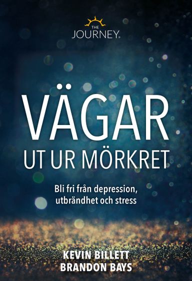 Vägar ut ur mörkret : att bli fri från depression, utbrändhet och stress