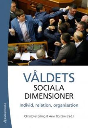 Våldets sociala dimensioner - Individ, relation, organisation