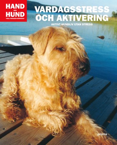 Vardagsstress och aktivering : aktivt hundliv utan stress