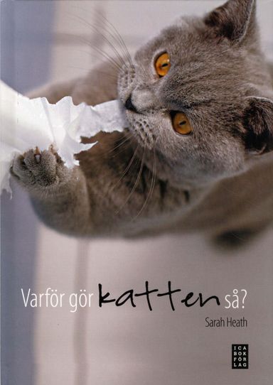 Varför gör katten så?