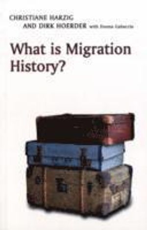 What is Migration History?