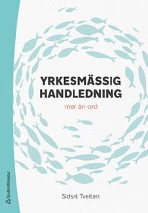 Yrkesmässig handledning : mer än ord