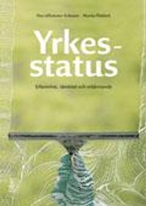 Yrkesstatus : erfarenhet, identitet och erkännande