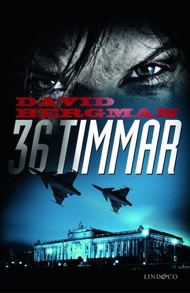 36 timmar; David Bergman; 2013