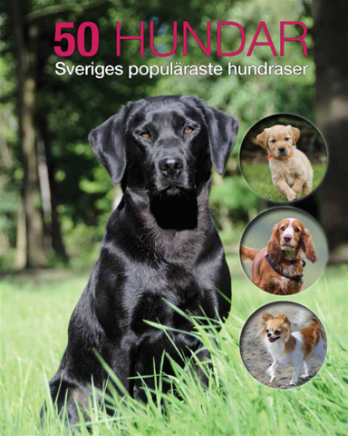 50 hundar : Sveriges populäraste hundraser; Jan Larsson; 2016