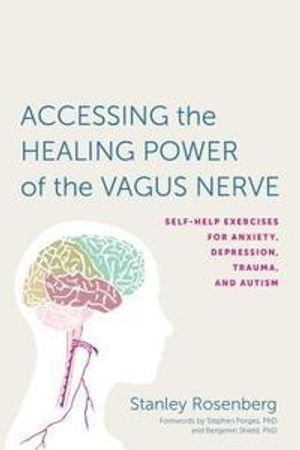 Accessing the Healing Power of the Vagus Nerve; Stanley Rosenbery; 2017