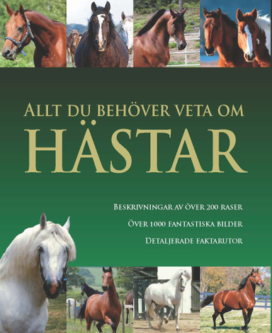 Allt du behöver veta om hästar; Debby Sly; 2009