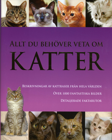 Allt du behöver veta om katter; Candida Frith-Macdonald; 2009