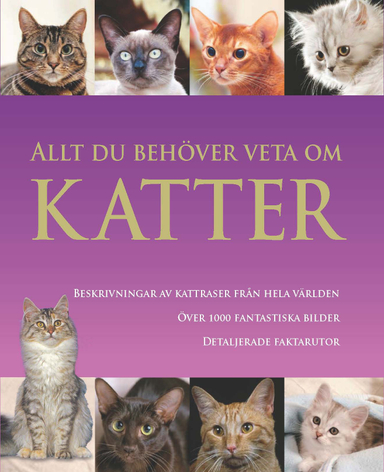 Allt du behöver veta om katter; Candida Frith-Macdonald; 2009