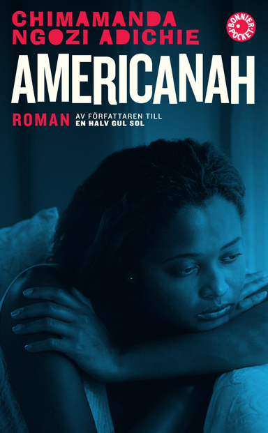 Americanah; Chimamanda Ngozi Adichie; 2014