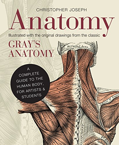 Anatomy; Christopher Joseph; 2013