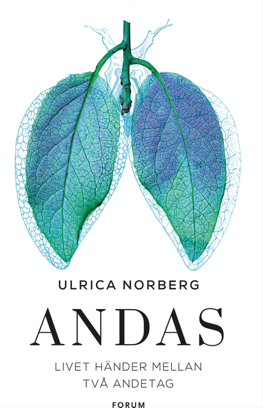 Andas : livet händer mellan två andetag; Ulrica Norberg; 2018