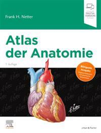 Atlas der Anatomie; Frank H Netter; 2020