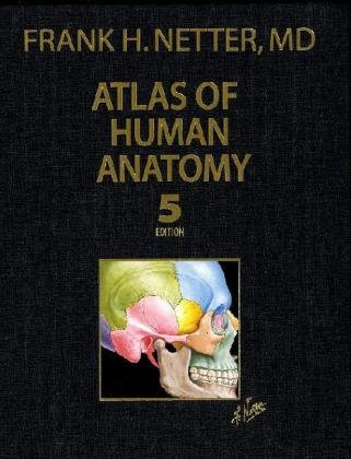 Atlas of Human Anatomy, Professional Edition; Frank H Netter; 2010