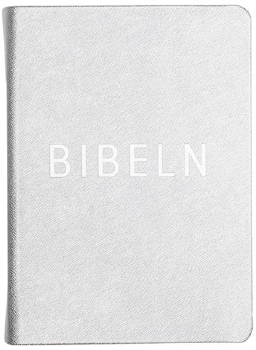 Bibel konfirmand silver; 2015