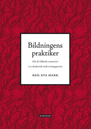 Bildningens praktiker : om de bildande momenten i en akademisk undervisningsprocess; Eva Mark, Lars Johan Erkell, Lena Dahlén, Anette Hellman, Anita Synnestvedt, Magnus P. Ängsal; 2015