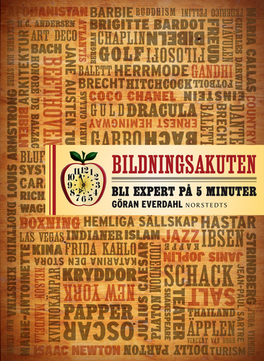 Bildningsakuten : bli expert på 5 minuter; Göran Everdahl; 2013