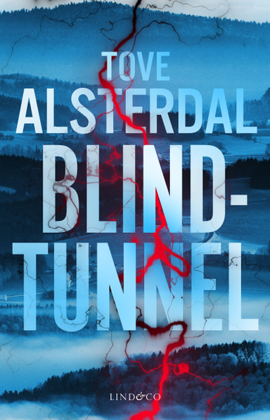 Blindtunnel; Tove Alsterdal; 2018