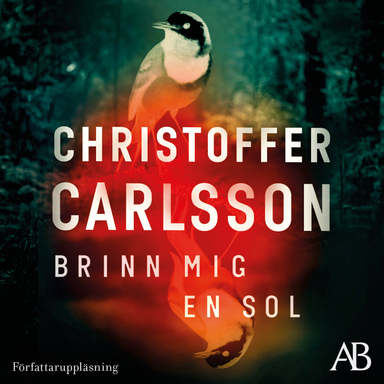 Brinn mig en sol; Christoffer Carlsson; 2021