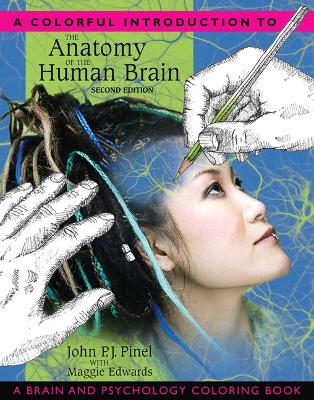 Colorful Introduction to the Anatomy of the Human Brain, A; John P J Pinel; 2007