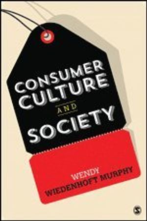 Consumer Culture and Society; Wendy Wiedenhoft Murphy; 2016