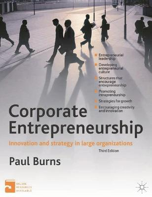 Corporate Entrepreneurship; Paul Burns; 2012