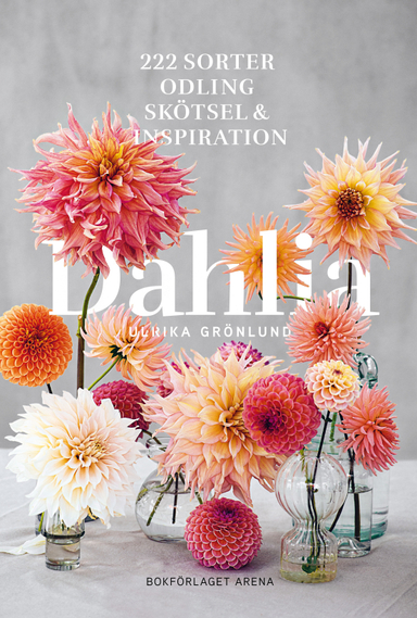 Dahlia : 222 sorter, odling, skötsel och inspiration; Ulrika Grönlund; 2022