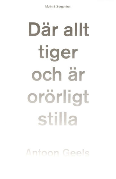 Där allt tiger och är orörligt stilla : skomakaren Hjalmar Ekström och mystiken; Antoon Geels; 2017