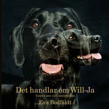 Det handlar om Will-Ja  : valpen som ville annorlunda; Eva Bodfäldt; 2017