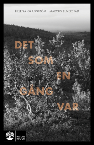 Det som en gång var; Helena Granström, Marcus Elmerstad; 2016