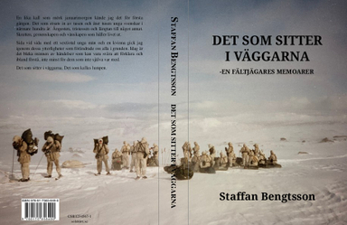 Det som sitter i väggarna; Staffan Bengtsson; 2022