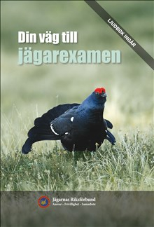 Din väg till jägarexamen; Dan Törnström; 2017