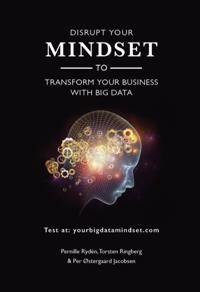 Disrupt your Mindset to Transform your Business with Big Data; Pernille Rydén, Torsten Ringberg og Per Østergaard Jacobsen; 2017