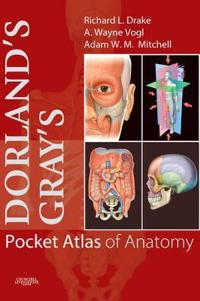 Dorland's/Gray's Pocket Atlas of Anatomy; Richard Drake; 2008