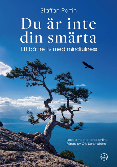 Du är inte din smärta : ett bättre liv med mindfulness; Staffan Portin; 2024