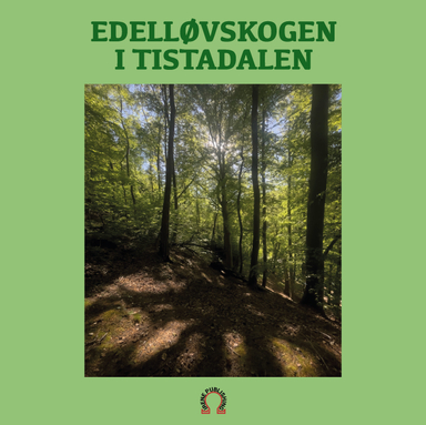 Edelløvskogen i Tistadalen; Jørgen Johansen; 2024