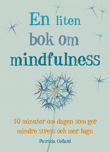 En liten bok om mindfulness : 10 minuter om dagen som ger mindre stress och mer lugn; Patrizia Collard; 2016