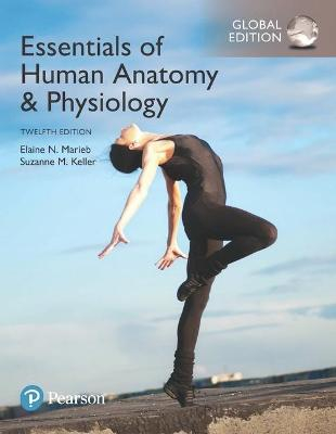 Essentials of Human AnatomyPhysiology, Global Edition; Elaine Marieb, Suzanne Keller; 2017