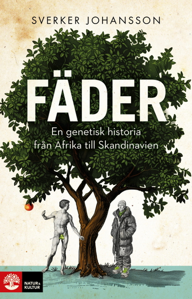 Fäder : en genetisk historia från Afrika till Skandinavien; Sverker Johansson; 2024