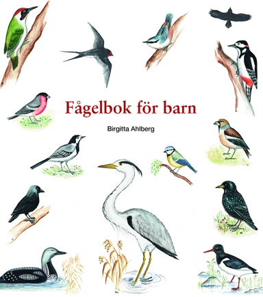 Fågelbok för barn; Birgitta Ahlberg; 2019