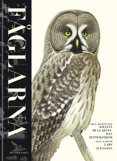 Fåglarna : alla Europas och Medelhavsområdets fåglar i fält; Killian Mullarney, Lars Svensson, Dan Zetterström; 2011