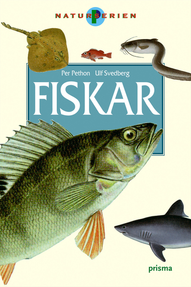 Fiskar; Per Pethon; 2004