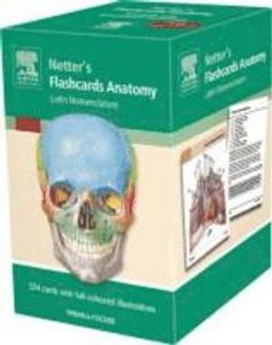 Flashcards Anatomy; Frank H. Netter; 2011