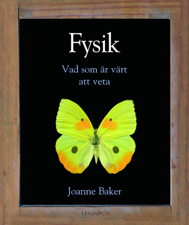 Fysik : vad som är värt att veta; Joanne Baker; 2013