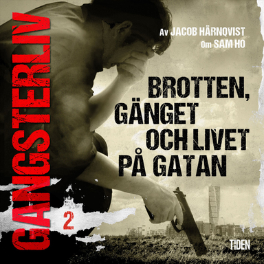 Gangsterliv 2: Brotten, gänget och livet på gatan; Jacob Härnqvist; 2020