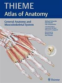 General Anatomy and Musculoskeletal System; Schuenke Michael, Schulte Erik, Schumacher Udo, Ross Lawrence M., Lamperti Edward D., Voll Markus; 2010